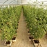 Agriculture Equipment Greenhouse Accessories Vertical Farming  Super NFT Channel Growing System