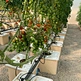 Agriculture Equipment Greenhouse Accessories Vertical Farming  Super NFT Channel Growing System